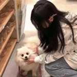 全民枪神单机版下载
